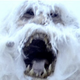 Image for article titled Sam Raimi To Make Yetis The Next Vampires, We Hope